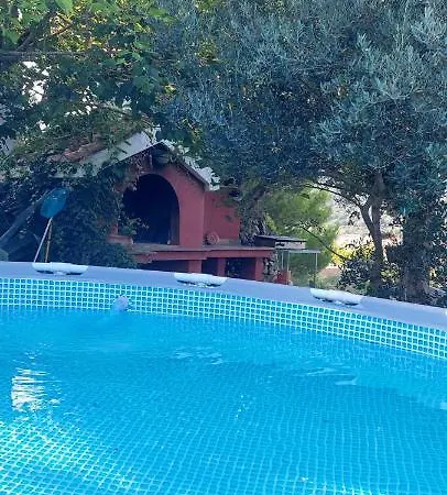 Tariba